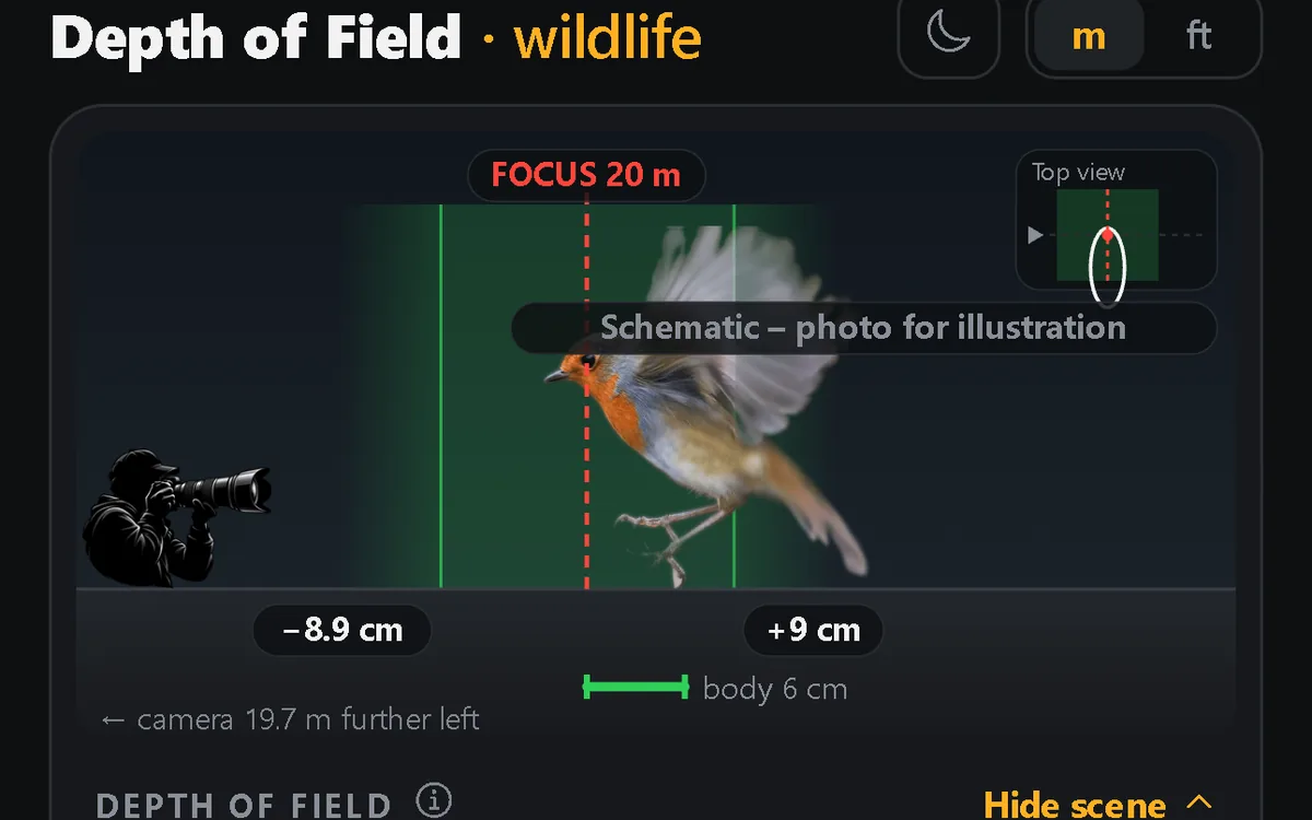Wildlife Depth of Field: a robin at 20 m inside the zone of focus.