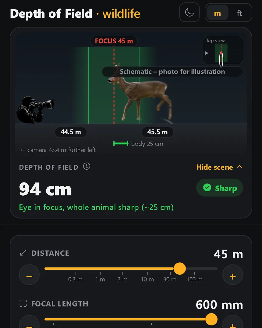 Result and scene: a roe deer side-on at 45 m – the whole animal fits in the 94 cm zone of focus.